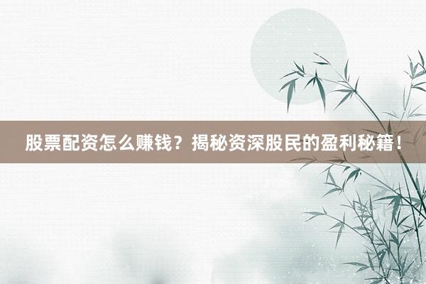 股票配资怎么赚钱？揭秘资深股民的盈利秘籍！