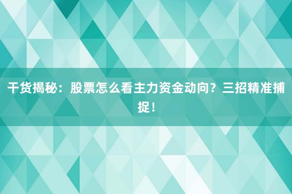 干货揭秘：股票怎么看主力资金动向？三招精准捕捉！