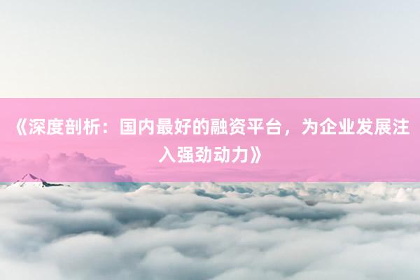 《深度剖析：国内最好的融资平台，为企业发展注入强劲动力》