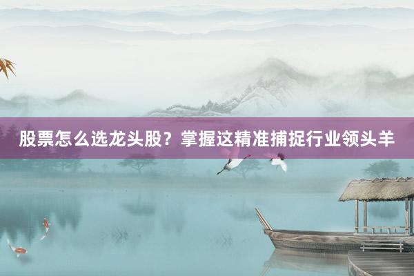 股票怎么选龙头股？掌握这精准捕捉行业领头羊