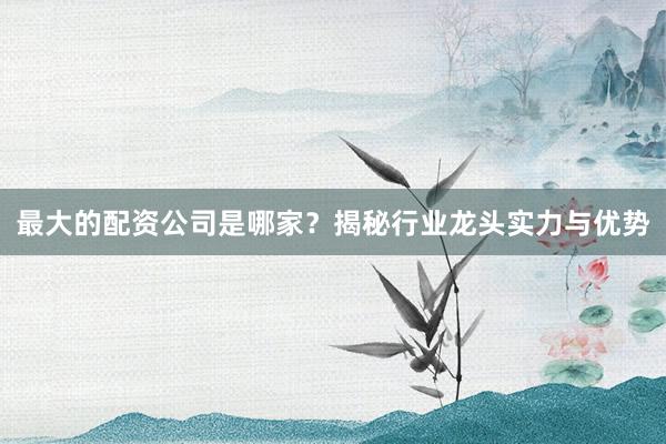 最大的配资公司是哪家？揭秘行业龙头实力与优势