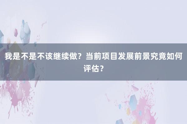 我是不是不该继续做？当前项目发展前景究竟如何评估？