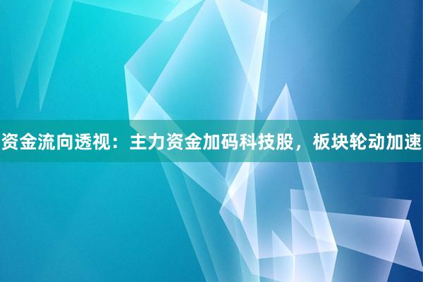 资金流向透视：主力资金加码科技股，板块轮动加速