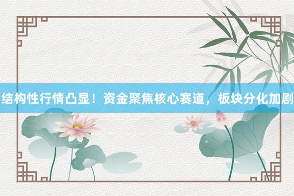 结构性行情凸显！资金聚焦核心赛道，板块分化加剧