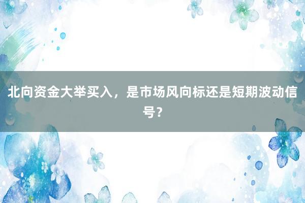 北向资金大举买入，是市场风向标还是短期波动信号？