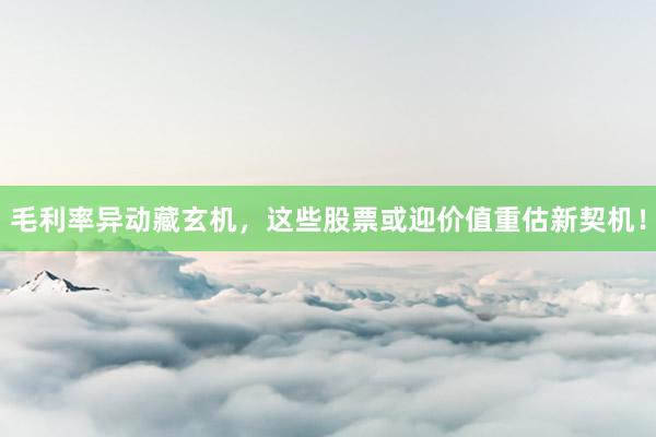 毛利率异动藏玄机，这些股票或迎价值重估新契机！