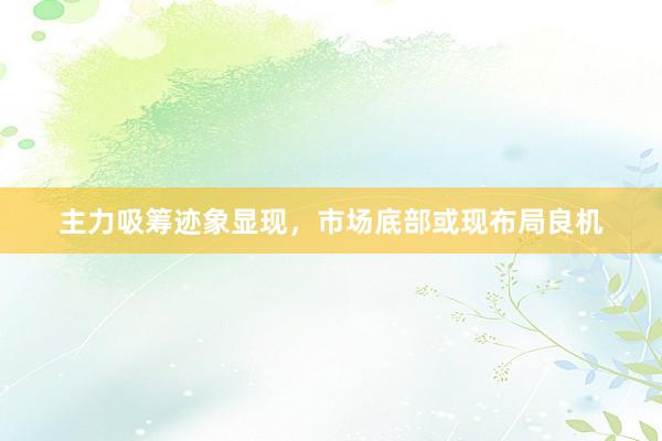 主力吸筹迹象显现，市场底部或现布局良机