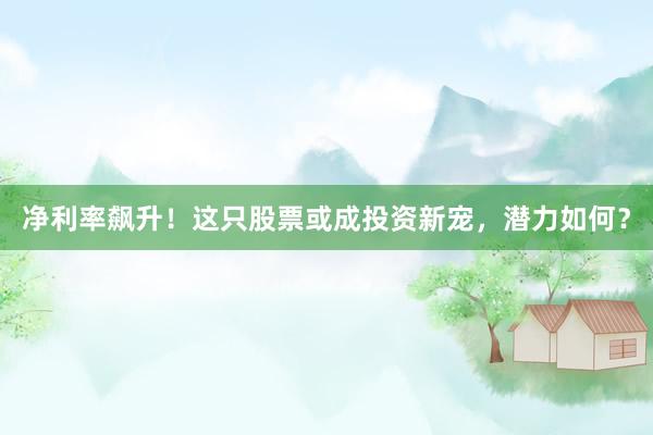 净利率飙升！这只股票或成投资新宠，潜力如何？