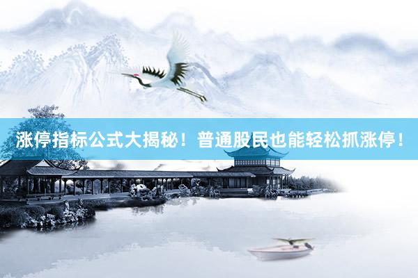 涨停指标公式大揭秘！普通股民也能轻松抓涨停！