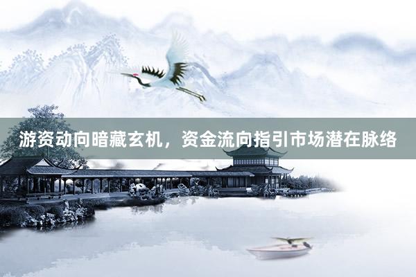 游资动向暗藏玄机，资金流向指引市场潜在脉络