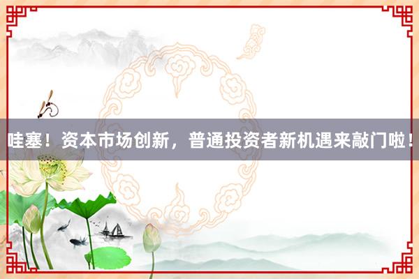哇塞！资本市场创新，普通投资者新机遇来敲门啦！