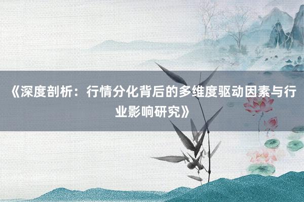 《深度剖析：行情分化背后的多维度驱动因素与行业影响研究》
