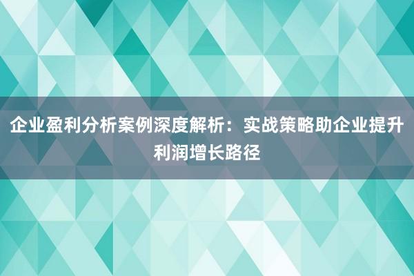 企业盈利分析案例深度解析：实战策略助企业提升利润增长路径