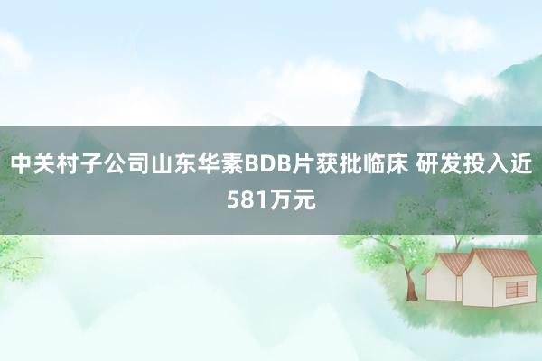 中关村子公司山东华素BDB片获批临床 研发投入近581万元