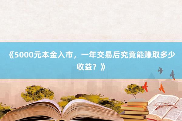 《5000元本金入市,一年交易后究竟能赚取多少收益?》